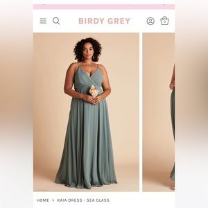 Birdy Grey KAIA chiffon Dress in Sea Glass